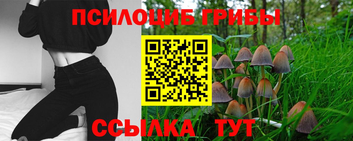 Галлюциногенные грибы прущие грибы Соль-Илецк